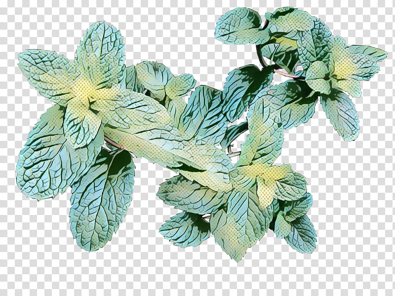 Flower Plant, Herb, Leaf transparent background PNG clipart