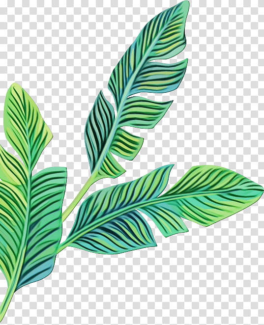 Outline Leaf Banana Vector Logo Illustration Stock Vector (Royalty Free)  2214153821 | Shutterstock