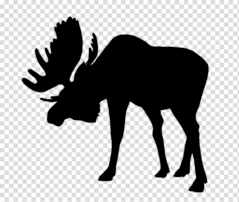 Tree Silhouette, Moose, Cricut, Logo, White, Head, Blackandwhite, Wildlife transparent background PNG clipart