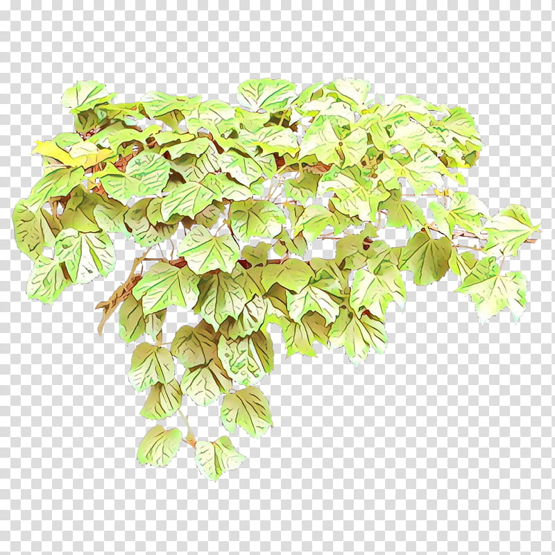 flower plant leaf flowering plant hydrangea, Cartoon, Aquarium Decor, Cornales, Spirea, Perennial Plant transparent background PNG clipart