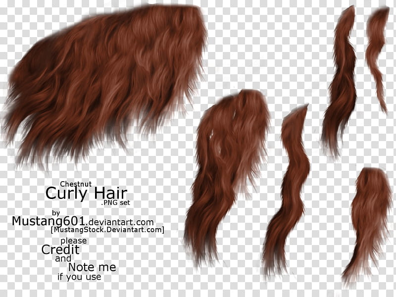 Curly Manes tails Chestnut transparent background PNG clipart