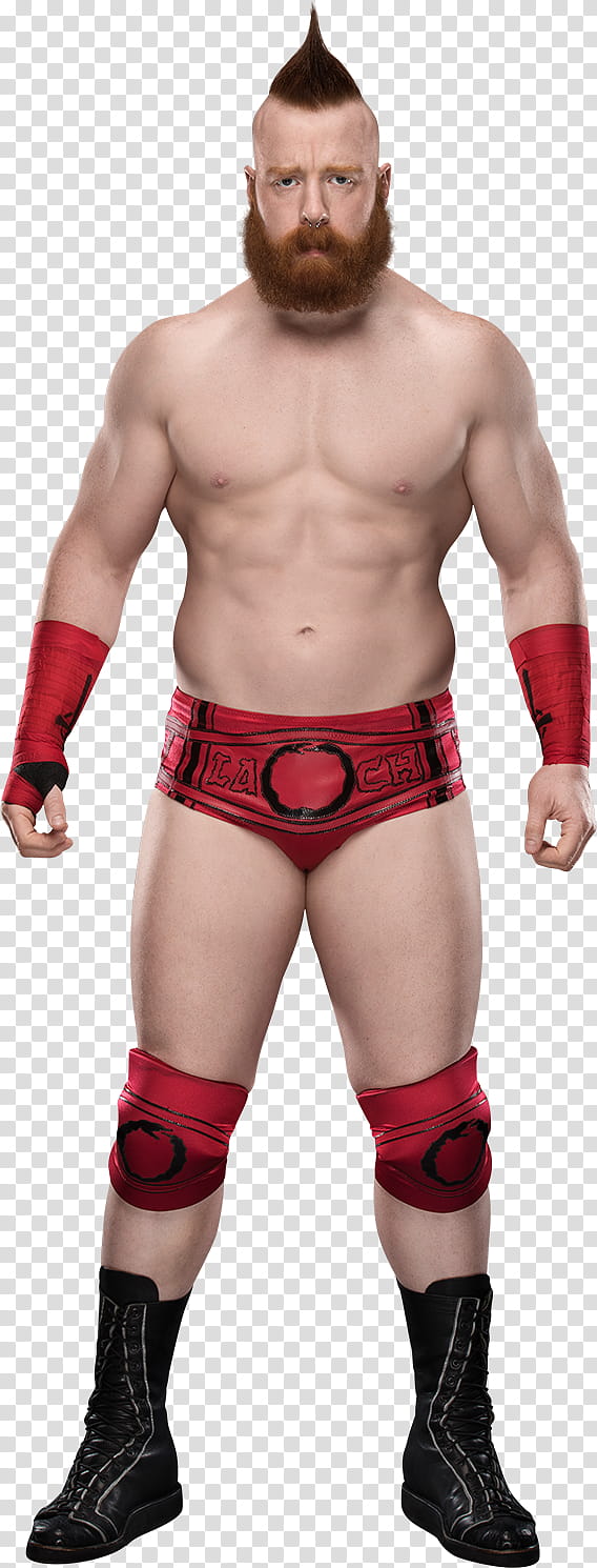 Sheamus  Stats transparent background PNG clipart