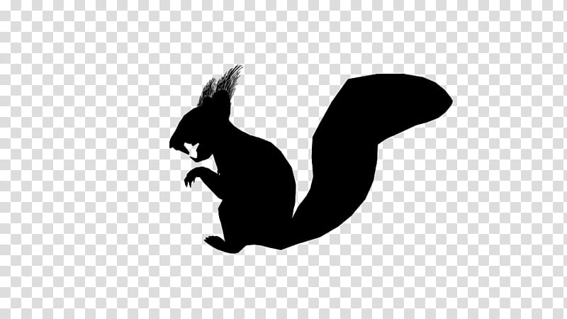 Squirrel, Logo, Silhouette, Computer, Black M, Blackandwhite, Tail, Wing transparent background PNG clipart
