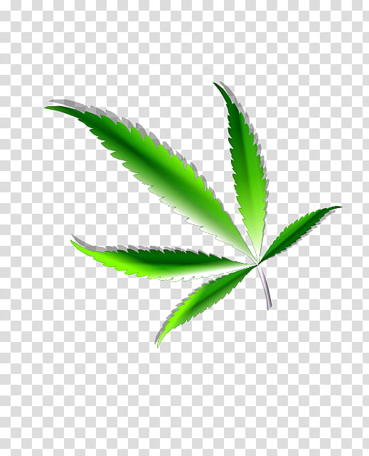 Cannabis Leaf, Cannabis Sativa, Cannabis Ruderalis, Bong, Hemp, Medical Cannabis, Cannabis Smoking, Green transparent background PNG clipart