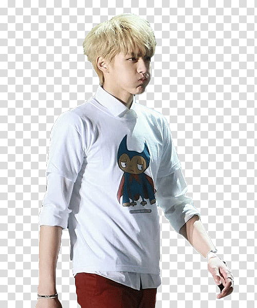 Exo Kris  transparent background PNG clipart