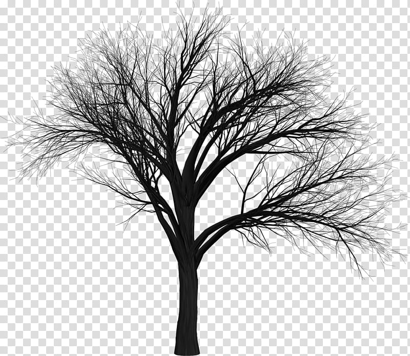 MINI Happy Halloween, black leafless tree transparent background PNG clipart