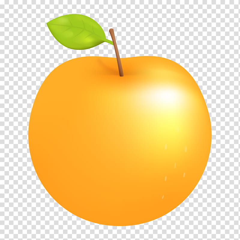 Orange, Fruit, Yellow, Plant, Apple, Leaf, Food, Tree transparent background PNG clipart