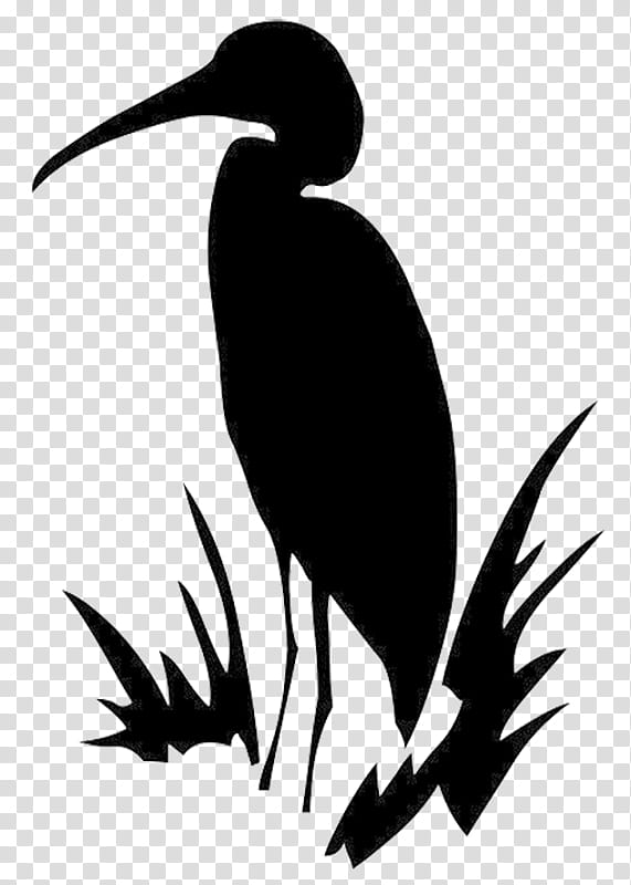 Crane Bird, Silhouette, Heron, Color, Drawing, Colored Pencil, Beak, Black And White transparent background PNG clipart