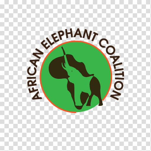 Green Grass, African Elephant, Asian Elephant, Save The Elephants, Ivory, Lawrence Anthony, Text, Logo transparent background PNG clipart