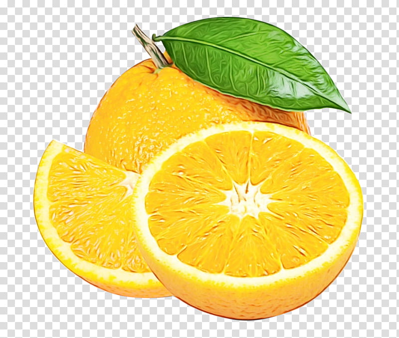Cartoon Lemon, Orange, Fizzy Drinks, Orange Soft Drink, Food, Juicer, Bundaberg Brewed Drinks, Fruit transparent background PNG clipart