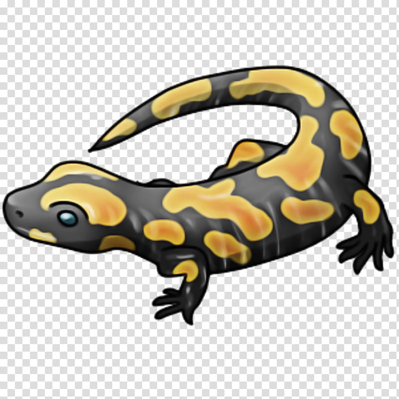 salamandra fire salamander tiger salamander salamander spotted salamander, True Salamanders And Newts, Lizard, Yellow transparent background PNG clipart