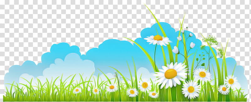 people in nature nature meadow natural environment camomile, Natural Landscape, Grass, Sky, Mayweed, Wildflower transparent background PNG clipart