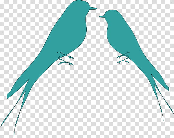 Mockingbird Silhouette, Lovebird, Parrot, Budgerigar, Bird Flight, Drawing, Beak, All About Birds transparent background PNG clipart