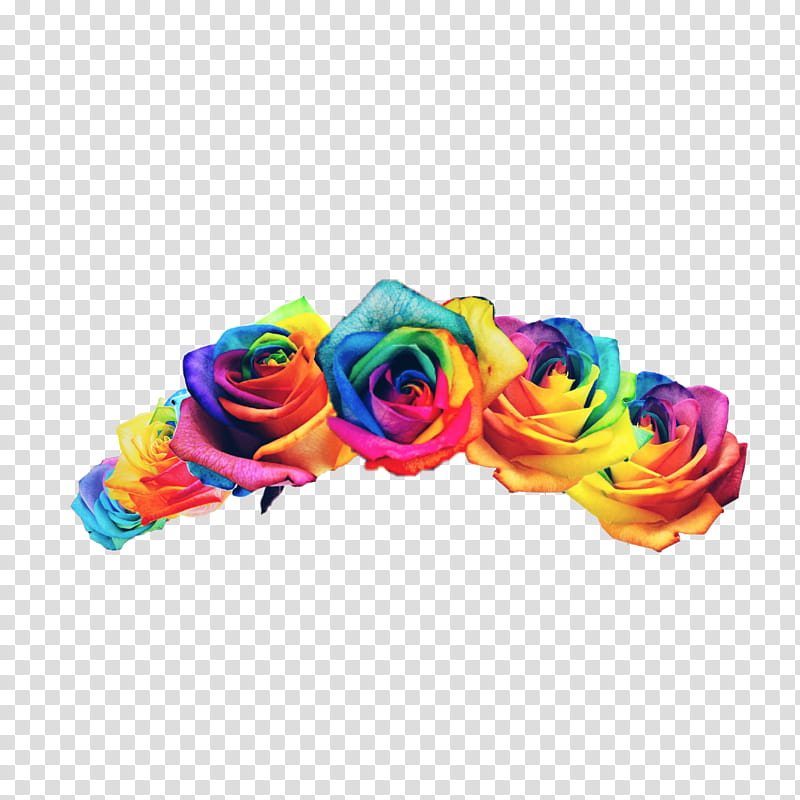 Flowers, Rainbow Rose, Five Nights At Freddys, Five Nights At Freddys The Twisted Ones, Android, Garden Roses, Yellow, Amino transparent background PNG clipart