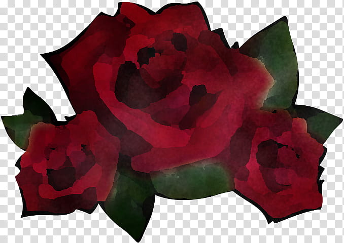 Garden roses, Red, Flower, Petal, Plant, Rose Family, Hybrid Tea Rose, Flowering Plant transparent background PNG clipart