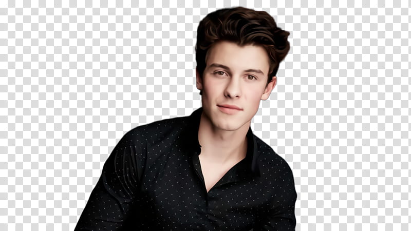 Hair, Shawn Mendes, Singer, Outerwear, Black Hair, Face, Forehead, Eyebrow transparent background PNG clipart