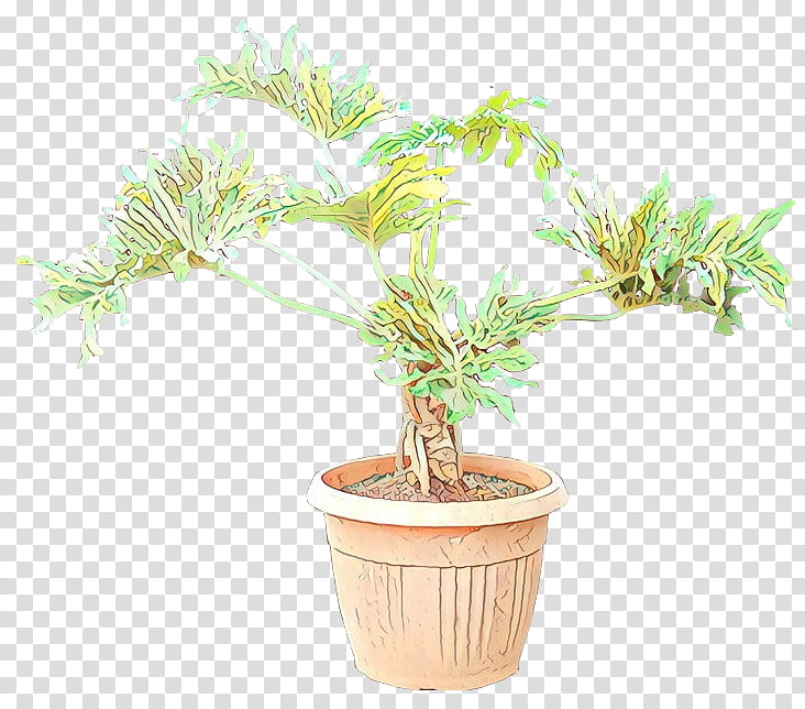 Bonsai Tree, Tree Philodendron, Flowerpot, Flowerpot Gardening, Houseplant, Evergreen, Plants, Pruning transparent background PNG clipart