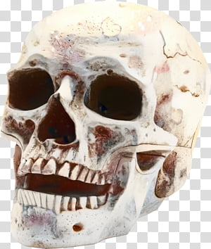 Face Of Death Transparent Background Png Cliparts Free Download - roblox face png kawaii roblox free zombie face