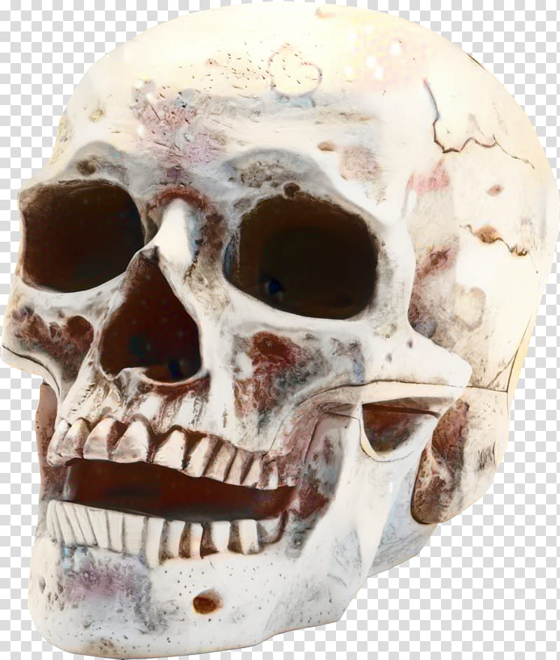 Human Skull Drawing, Human Skeleton, Death, Bone, Anatomy, Vaporwave, Face, Head transparent background PNG clipart