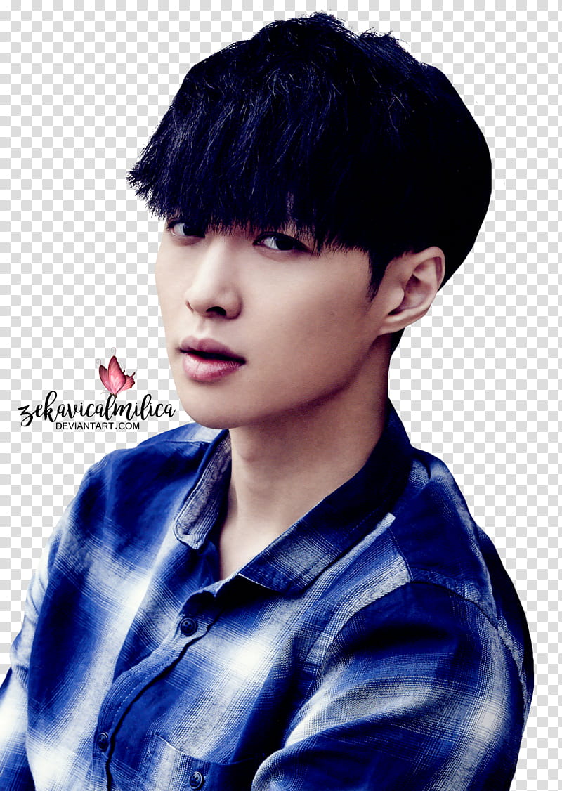 EXO Lay  Season Greetings, man wearing blue and white plaid sport shirt transparent background PNG clipart