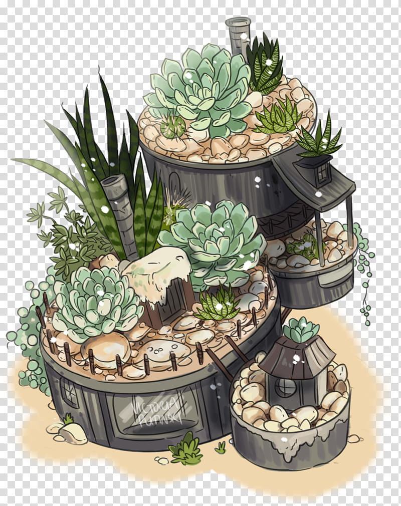 Cactus, Flowerpot, Houseplant, Succulent Plant, Stonecrop Family transparent background PNG clipart