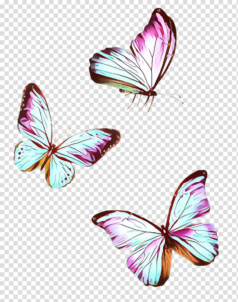 butterfly insect moths and butterflies pink pollinator, Pieridae, Wing transparent background PNG clipart