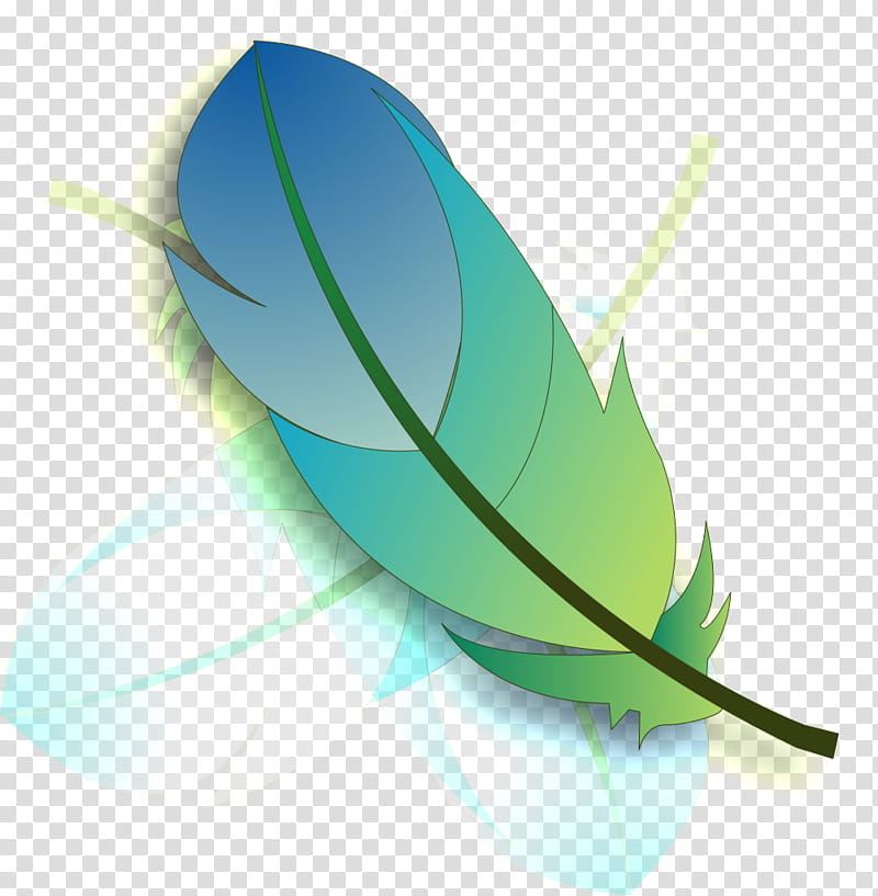 Adobe Logo, Adobe Inc, Feather, Leaf, Turquoise, Quill, Plant, Natural Material transparent background PNG clipart