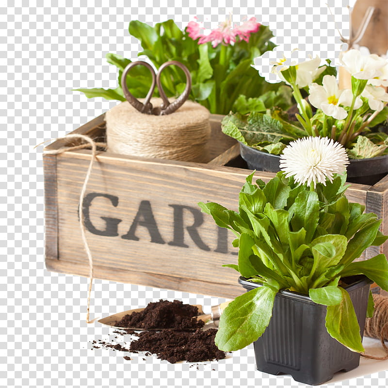 Bouquet Of Flowers, Floral Design, Gardening, Garden Club, Flowerpot, Plant, Cut Flowers, Grass transparent background PNG clipart