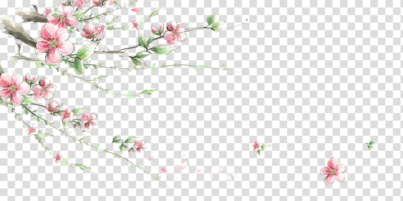 Flower Line Art, Floral Design, Cherry Blossom, Blog, Color, Blogger, White, Pink transparent background PNG clipart