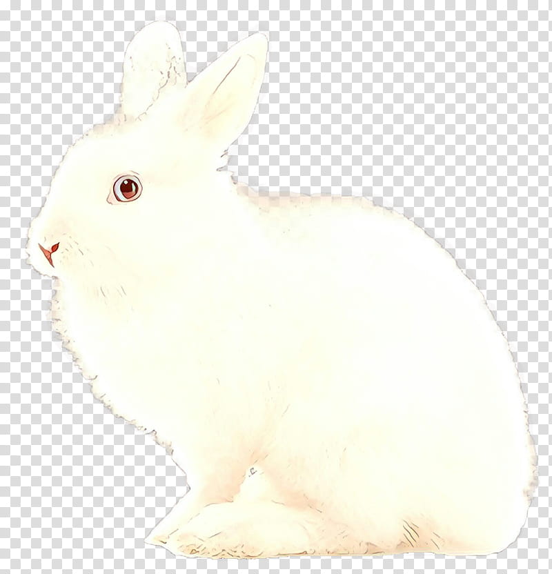 rabbit rabbits and hares white domestic rabbit hare, Cartoon, Animal Figure, Snowshoe Hare, Arctic Hare, Whiskers, Beige transparent background PNG clipart