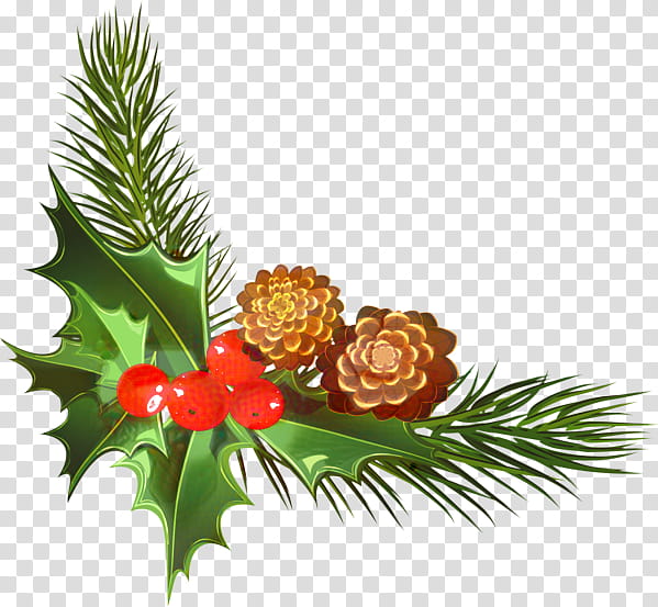 Red Christmas Tree, Christmas Ornament, Christmas Day, Fruit, Oregon Pine, Jack Pine, Colorado Spruce, Lodgepole Pine transparent background PNG clipart