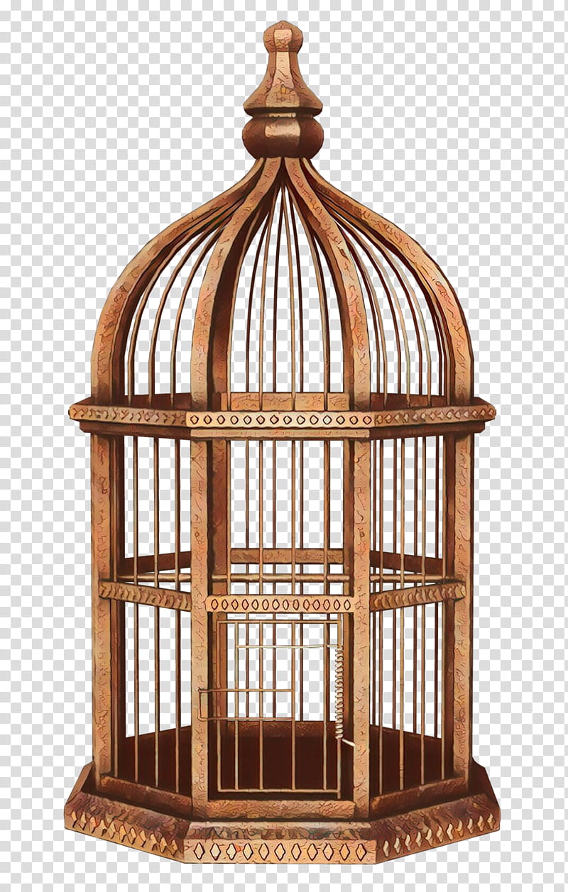 Bird Cage, Cartoon, Birdcage, Budgerigar, Parrot, Animal, Pet, Chinese Hwamei transparent background PNG clipart