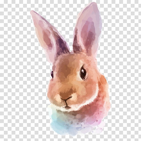 Easter Bunny, Hare, Watercolor Painting, Rabbit, Drawing, Rabbit Rabbit Rabbit, Rabbits And Hares, Pink transparent background PNG clipart