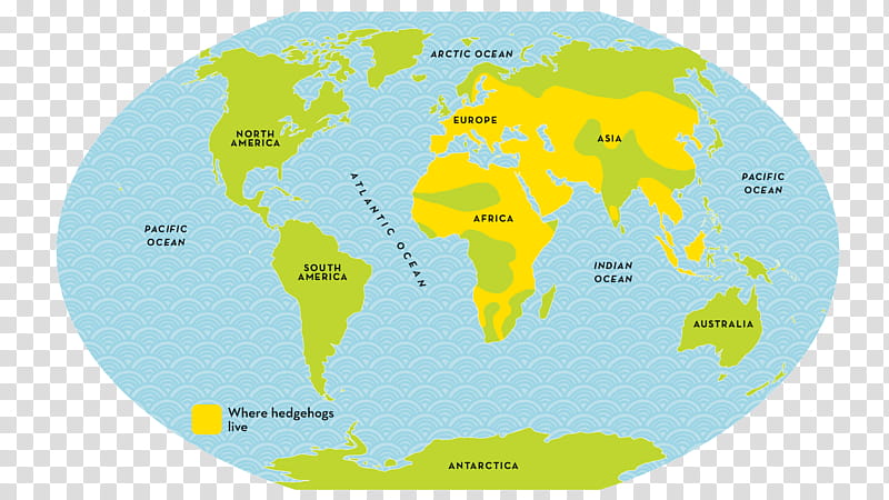 Globe, Map, Water, Water Resources, TUBERCULOSIS, Yellow, World, Area transparent background PNG clipart