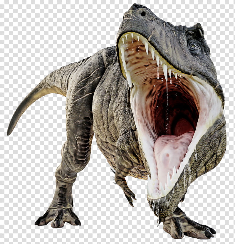 Tyrannosaurus Rex, gray dinosaur transparent background PNG clipart