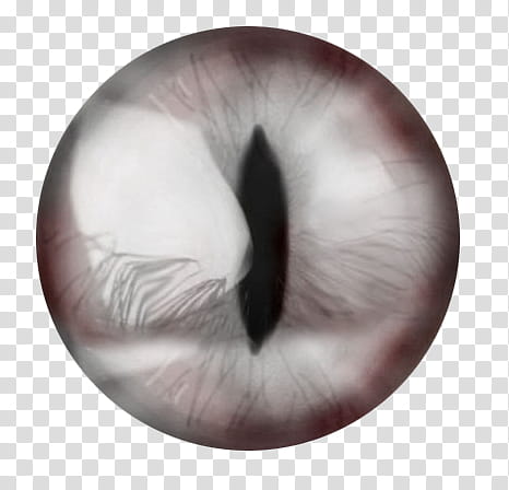 Eye Lenses, eyeball illustration transparent background PNG clipart