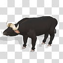 Spore creature African buffalo, black water buffalo transparent background PNG clipart