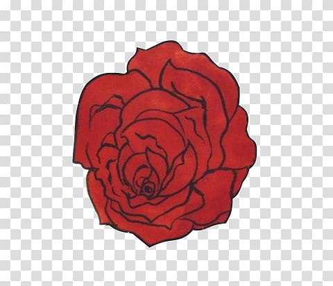 Shoujo, red rose flower in bloom illustration transparent background PNG clipart