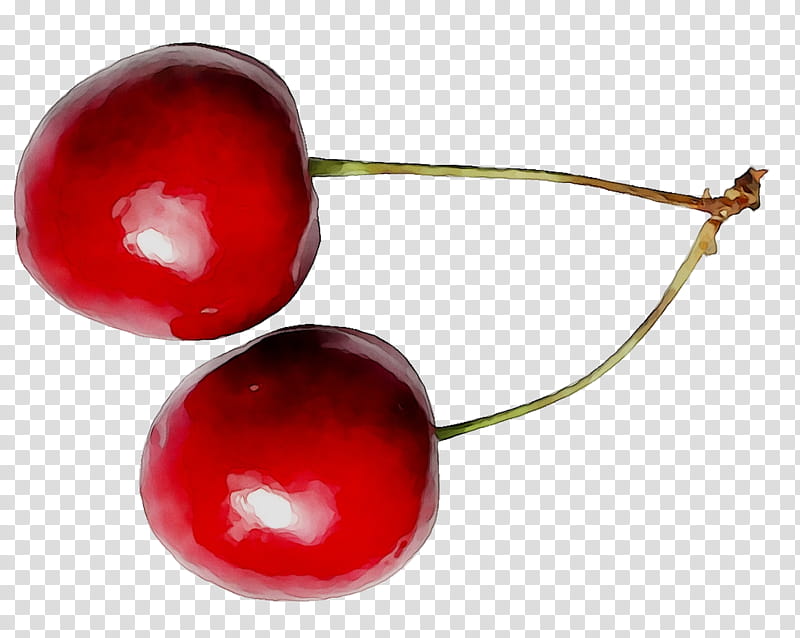 Fruit, Superfood, Cherry, Red, Plant, Currant, Prunus, Drupe transparent background PNG clipart