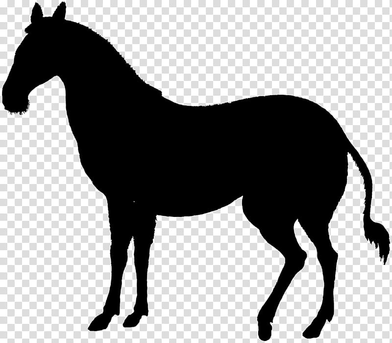 Horse, Mule, Pony, Deer, Moose, Silhouette, Foal, Mane transparent background PNG clipart