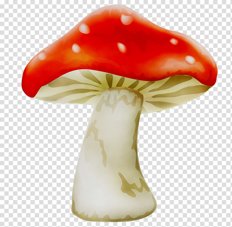 Mushroom, Common Mushroom, Shiitake, Fly Agaric, Fungus, Mushroom Poisoning, True Morels, Ceramic transparent background PNG clipart
