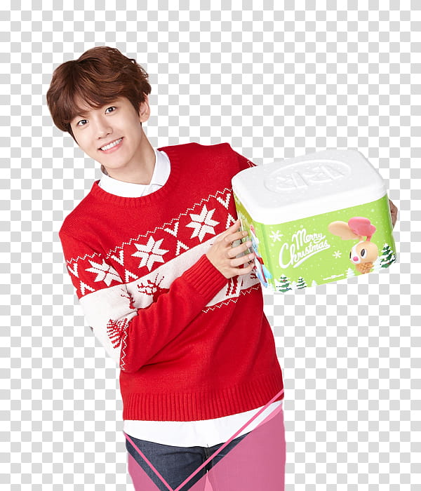 EXO K BASKIN ROBBINS transparent background PNG clipart