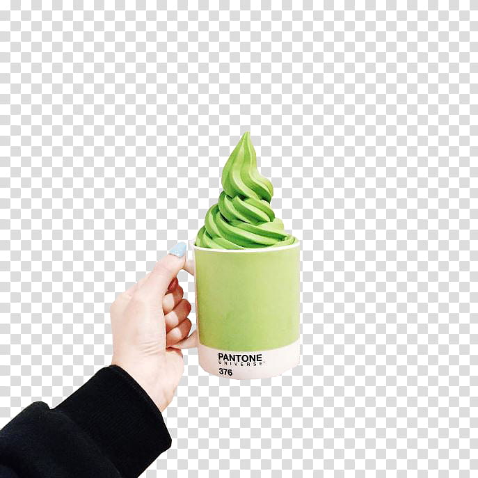 SHARE PANTONE JAEXI Part , person holding green mug transparent background PNG clipart