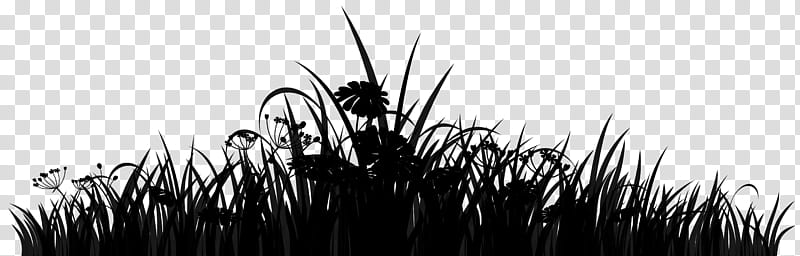 Family Tree Silhouette, Insect, Computer, Grasses, Membrane, Vegetation, Blackandwhite, Grass Family transparent background PNG clipart