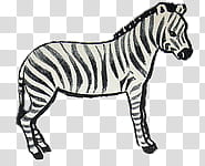 retro kid, black and gray zebra art transparent background PNG clipart