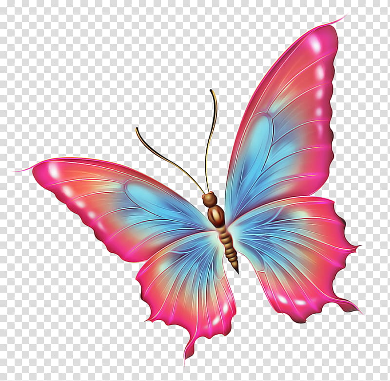 butterfly insect moths and butterflies pink wing, Pollinator, Lycaenid transparent background PNG clipart