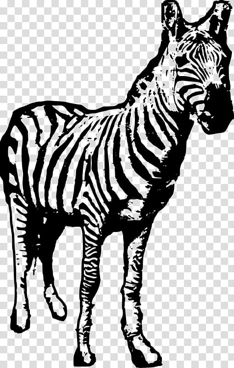 Zebra, Tiger, Giraffe, Wildlife, Drawing, Animal, Line Art, Snout transparent background PNG clipart