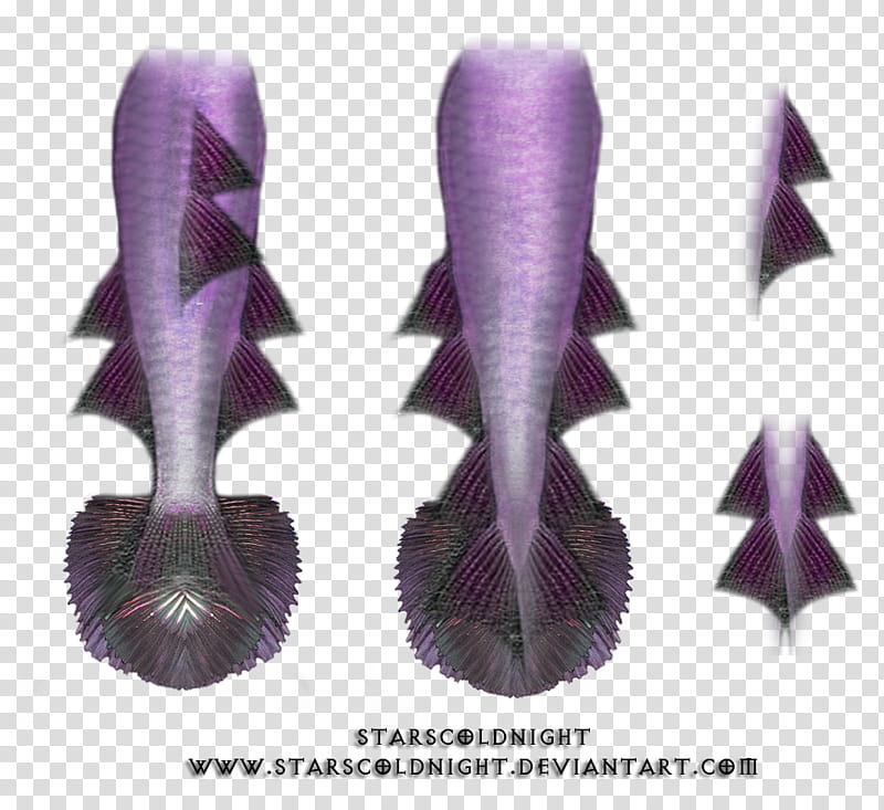 Mermaid Tails , purple fish tail illustration transparent background PNG clipart