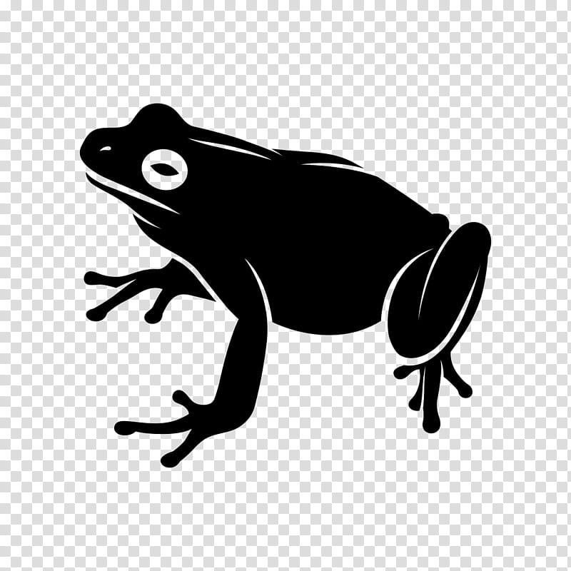 Tree Stencil, Toad, Frog, Tree Frog, Computer Icons, Amphibians, Phyllomedusa Bicolor, Animal transparent background PNG clipart