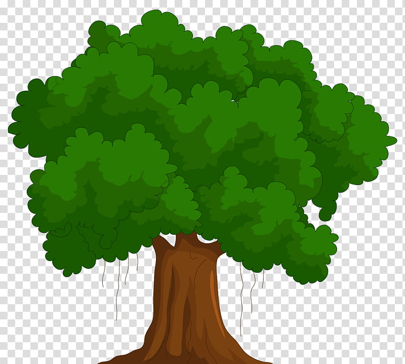 Oak Tree Leaf, Cartoon, Green, Plant, Arbor Day, Woody Plant, Grass, Animation transparent background PNG clipart